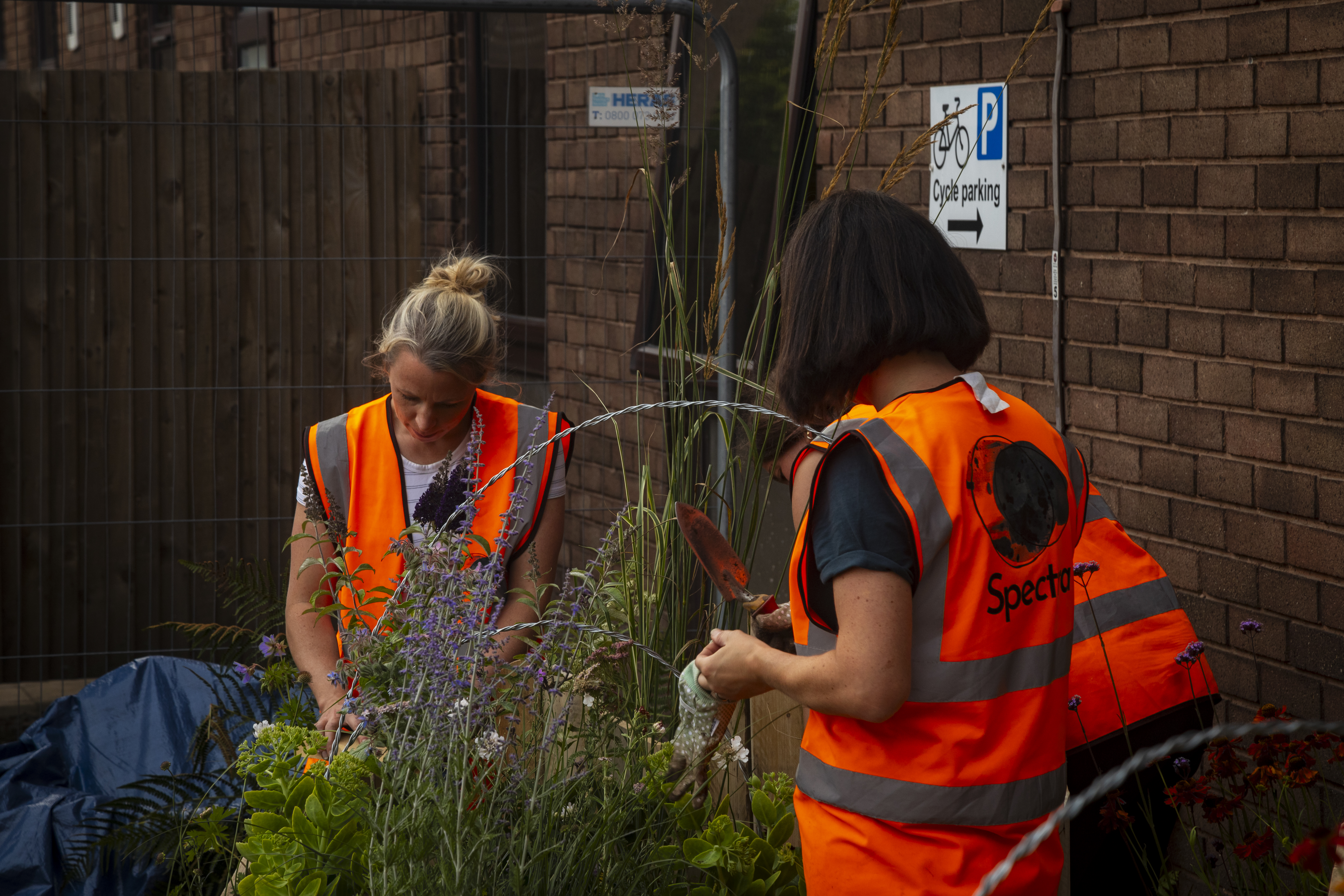 Reflecting on a Year of Environmental Action