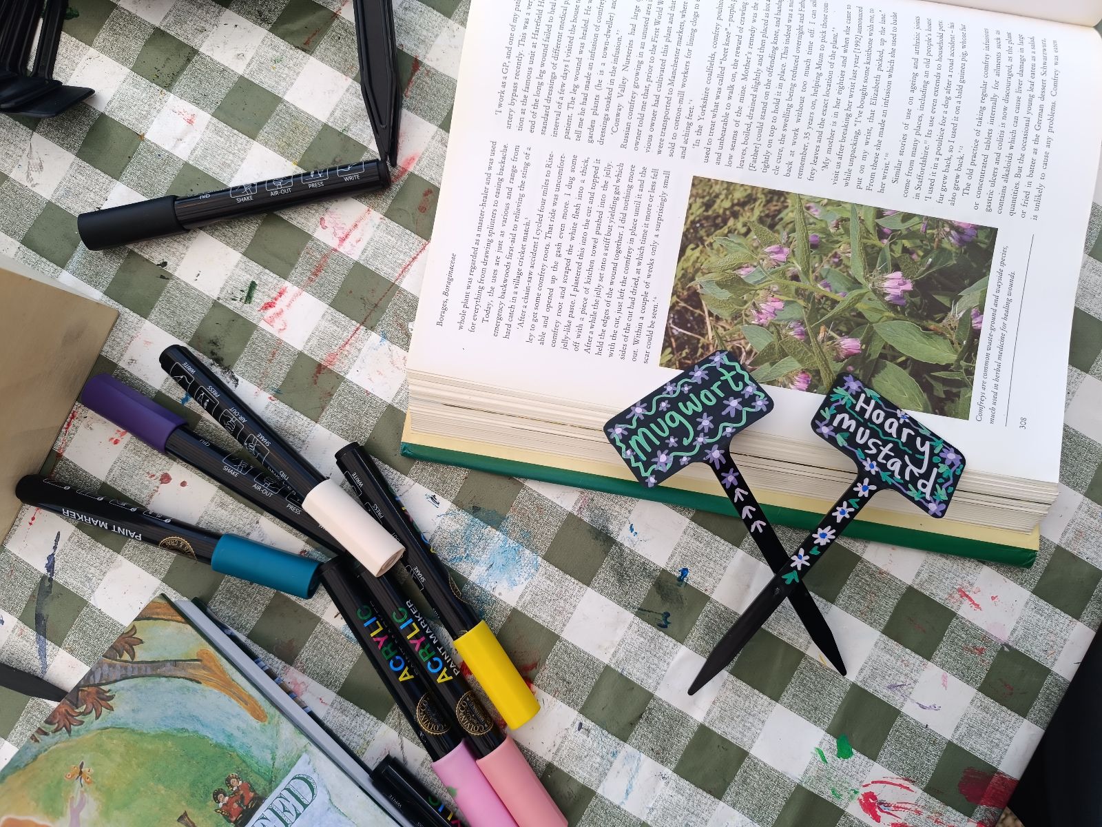 An apothecary garden: Resilience, close looking and the seed bank